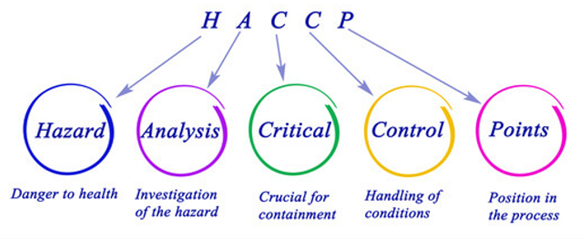 HACCP_restauration_collective_et_Solutions_Resto.png
